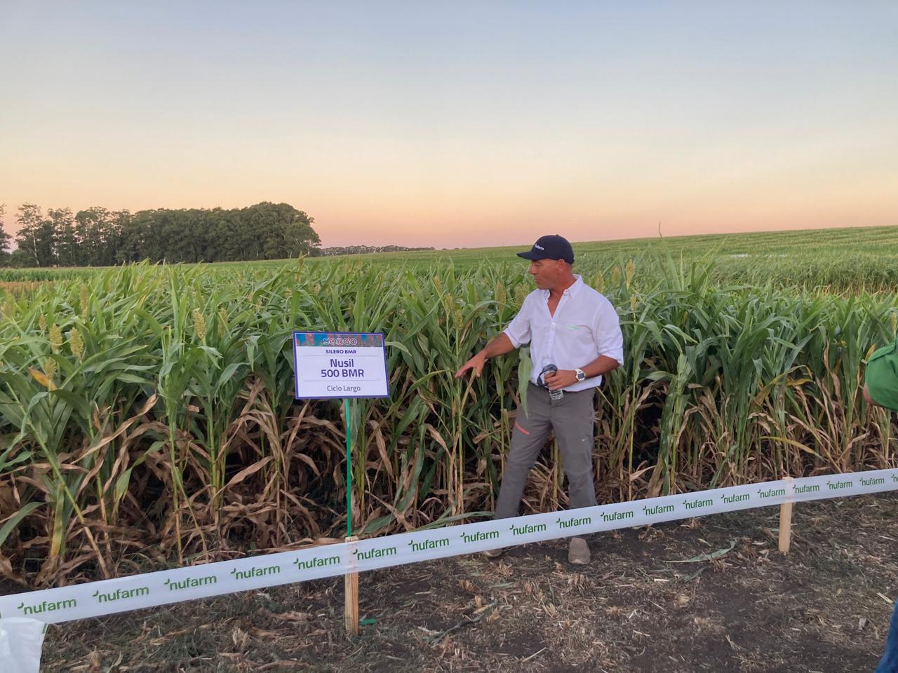 agronomo en ensayos